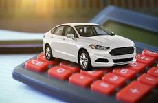 家里放猫眼竹芋吉利吗 有什么摆放禁忌