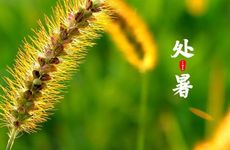 2023春联的来历和寓意