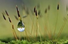 大溪水命的人迁坟需要主要什么事项？