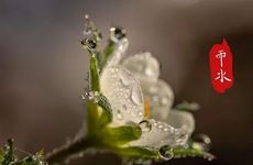 2023年7月正桃花最好的生肖 7月桃花最旺的生肖