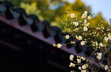 彩礼钱娘家一分不给我 女方不陪嫁妆丢人吗