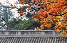 文昌位放富贵竹几支最合适 文昌位必须放4个富贵竹