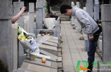 2024年红鸾天喜对照表 红鸾星入命的生肖