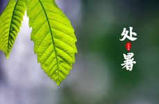 癸卯年2023年卦象 四绿星降临在中宫