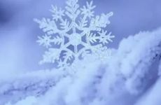 梦见妈妈头发白了是什么意思