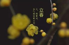 梦见和他人野餐