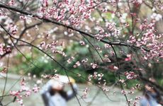 2023年什么时候立春 双春年意味着什么