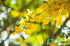 立秋节气的风俗活动及传统食物