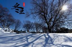 象征和平的八月生辰石 橄榄石的作用