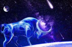 和金牛座有缘分的星座