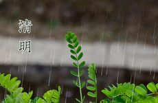 梦到知了脱壳什么意思