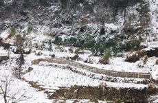 哪些星座男喜欢给别人带绿帽