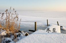 客厅摆放什么绿植最好 富贵竹象征大吉大利