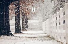 今年大寒是几月几日2023年 大寒节气的由来