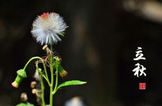 梦见火龙吃人怎么回事 梦见火龙吃人有什么预兆