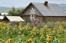 左眼皮跳星期一到星期日是什么预兆 如何缓解眼跳