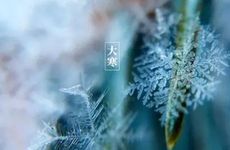 大寒节气下雨好吗？尾牙祭的由来