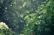 梦见大蛇在水里游这是什么预兆