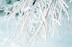 2022立冬是几月几号 立冬应该吃什么传统食物