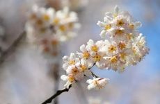 2022立春当天睛好还是阴天好