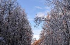 2022小雪节气出生的孩子叫什么名子 小雪节气生的女孩叫什么名字好