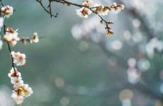 2022年小寒可以大扫除？过年大扫除的寓意是什么？