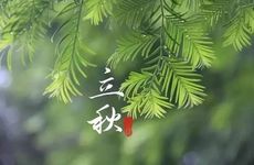 立秋贴秋膘的由来 贴秋膘是啥意思