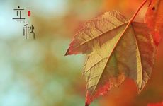 梦到买牛排是啥预兆 做梦梦见买牛肉什么征兆