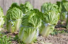 梦到的数字是什么意思