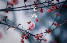 2023年立春可以出门吗 今年正月十四是进财日子吗