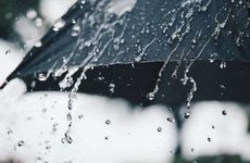 梦见刮大风是什么预兆？梦见刮大风是什么意思？