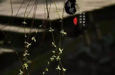 2024过年烧纸大约从几号开始 春节几号烧纸