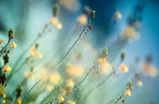 2022年立夏时间几点几分几秒 2022年立夏是什么时候