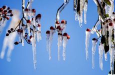 在办公桌上摆什么旺事业