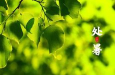 处暑节气传统饮食习俗及天气特点