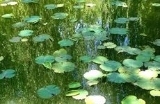 台州夏至吃什么传统食物 台州夏至吃的特色食品有哪些