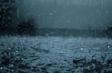 雨水有雨庄稼好 大春小春一片宝是什么意思?