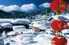 梦见马蜂怎么回事 梦见马蜂有什么预兆