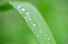 夫妻吵架如何化解 摆放夫妻合照