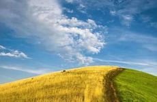 老虎和猴子属相合不合相关内容