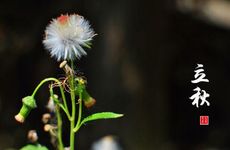 2024年入九哪天最冷 入九以后哪个九最冷