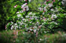 2022立春是农历几月几日