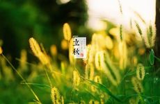 女生网名小清新文艺范