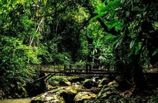 客厅挂什么字画好 客厅挂什么字画最合适