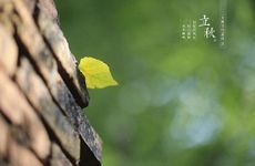 立秋贴秋膘吃什么 为什么秋天气候干燥