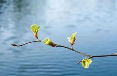 立春咬春寓意 寓意新年里平安喜乐