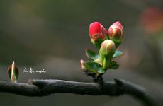 2025年躲春要躲一整天吗