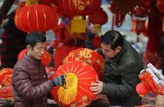 梦见树 树林怎么回事 梦见树 树林有什么预兆