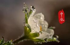 井深181米有什么寓意 打井有什么讲究