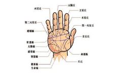 左眉头有痣预示着什么 左眉头有痣牢狱之灾